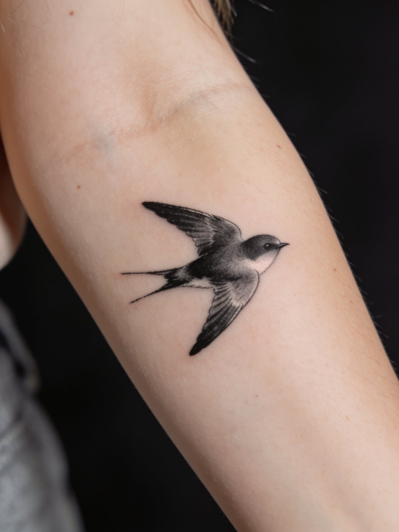 Flight — Animal tattoo, Forearm