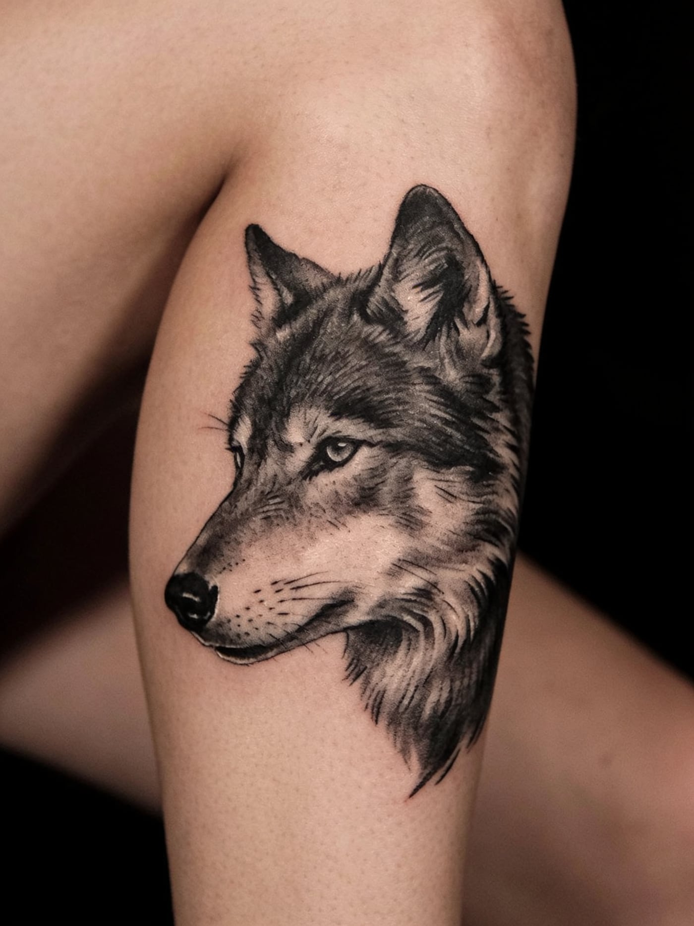 Lone Wolf — Realism tattoo, Calf